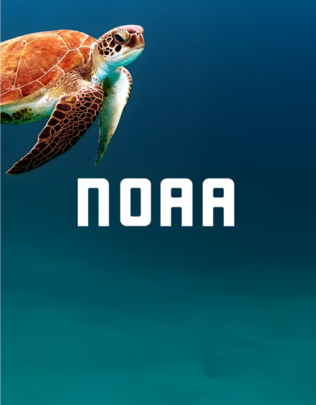  Uniting oceans of data under one digital curren