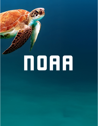NOAA Case Study featured image